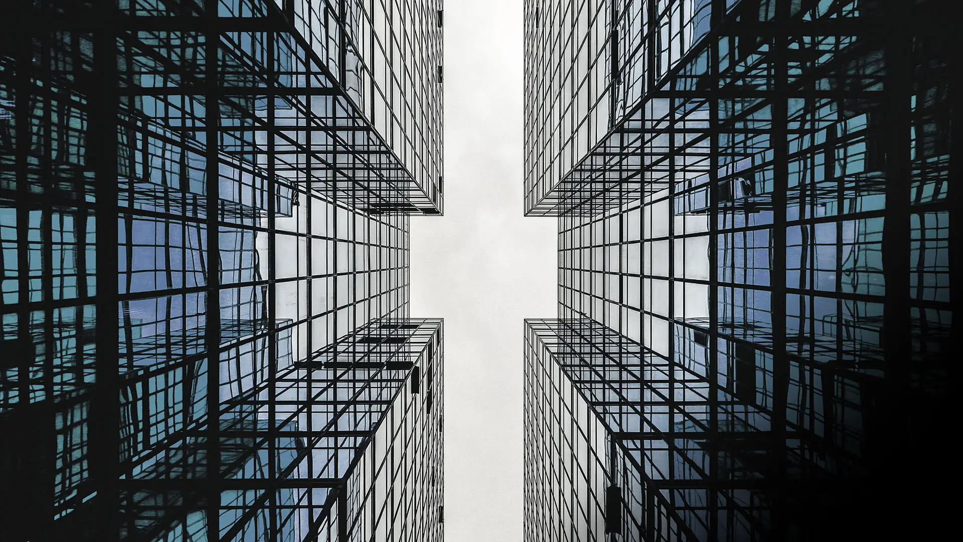 alex-wong-l5Tzv1alcps-unsplash_2